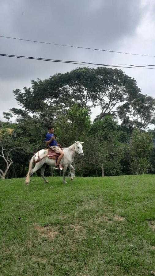 Choclino -bungalows Con Piscina Privada, Mirador Y Tours En La Selva * Tarapoto