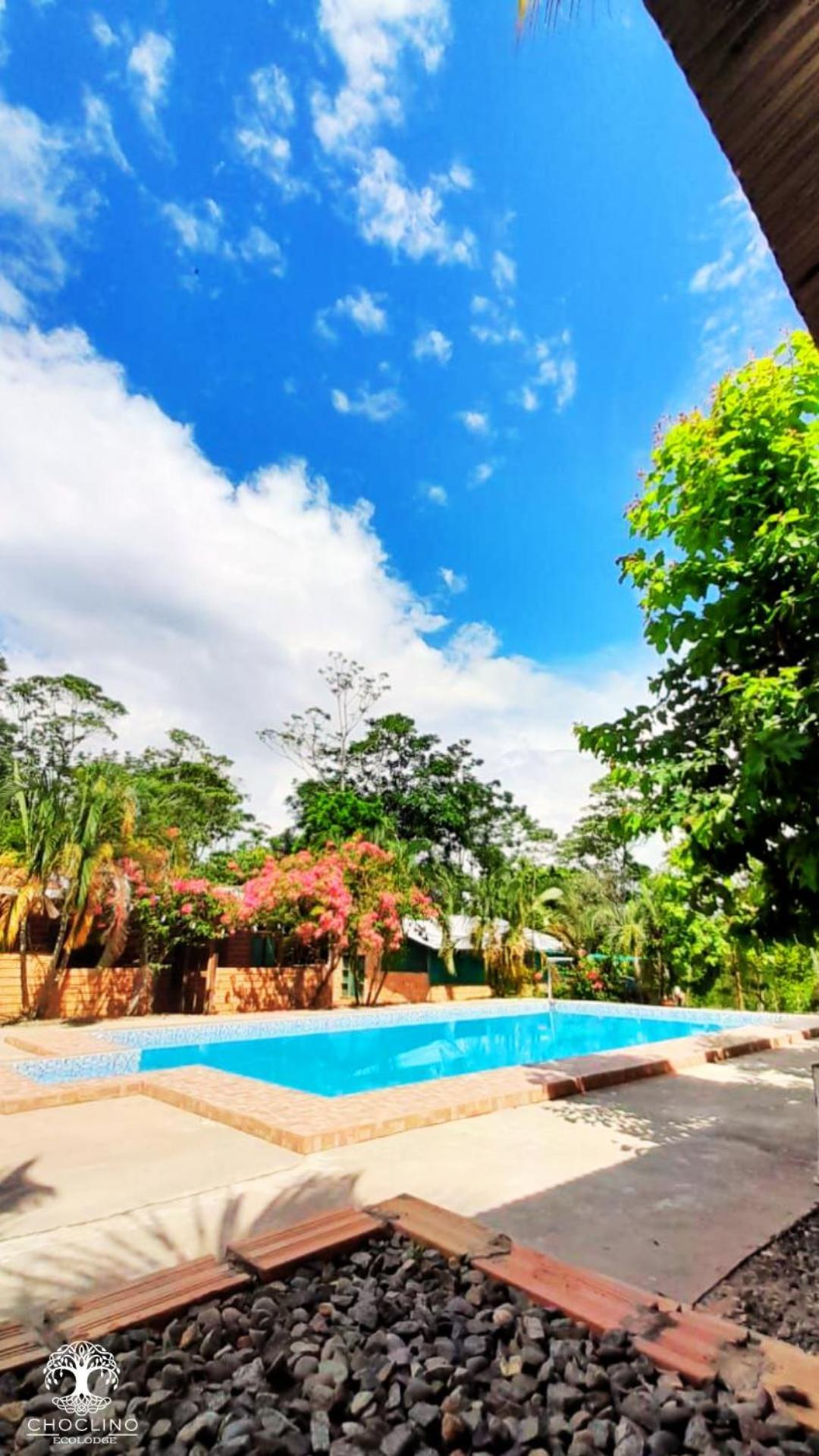Choclino -bungalows Con Piscina Privada, Mirador Y Tours En La Selva * Tarapoto