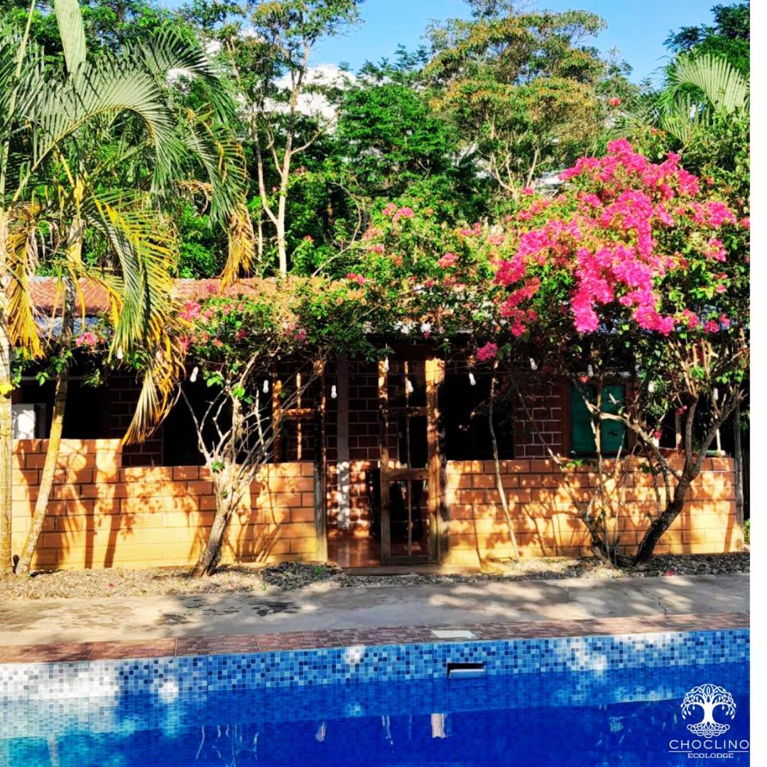 Appartement Choclino -bungalows Con Piscina Privada, Mirador Y Tours En La Selva
