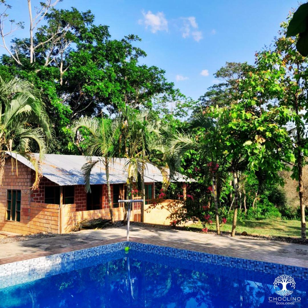 Choclino -bungalows Con Piscina Privada, Mirador Y Tours En La Selva Appartement