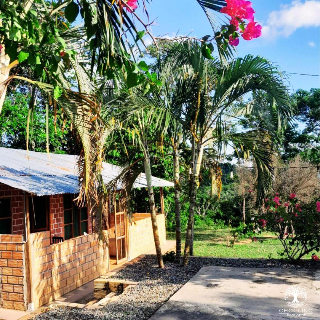 Choclino -bungalows Con Piscina Privada, Mirador Y Tours En La Selva *
