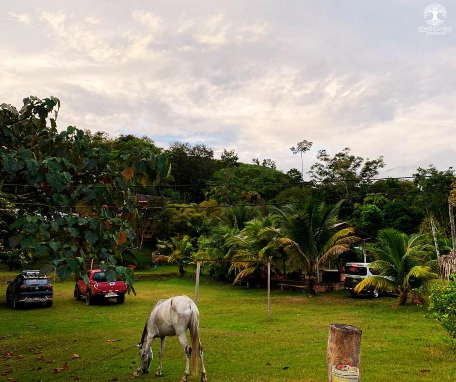 Choclino -bungalows Con Piscina Privada, Mirador Y Tours En La Selva Appartement *