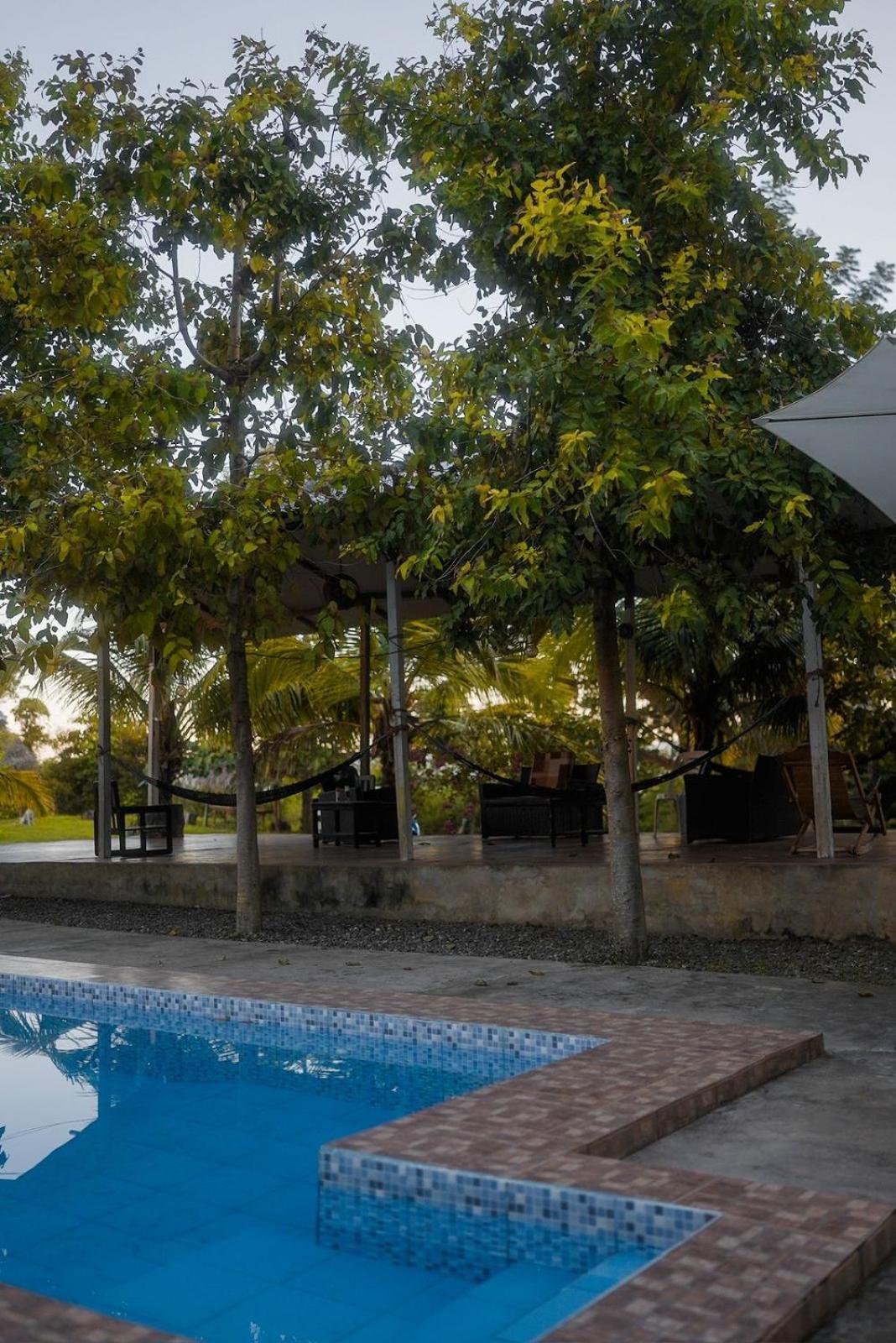 Choclino -bungalows Con Piscina Privada, Mirador Y Tours En La Selva * Tarapoto
