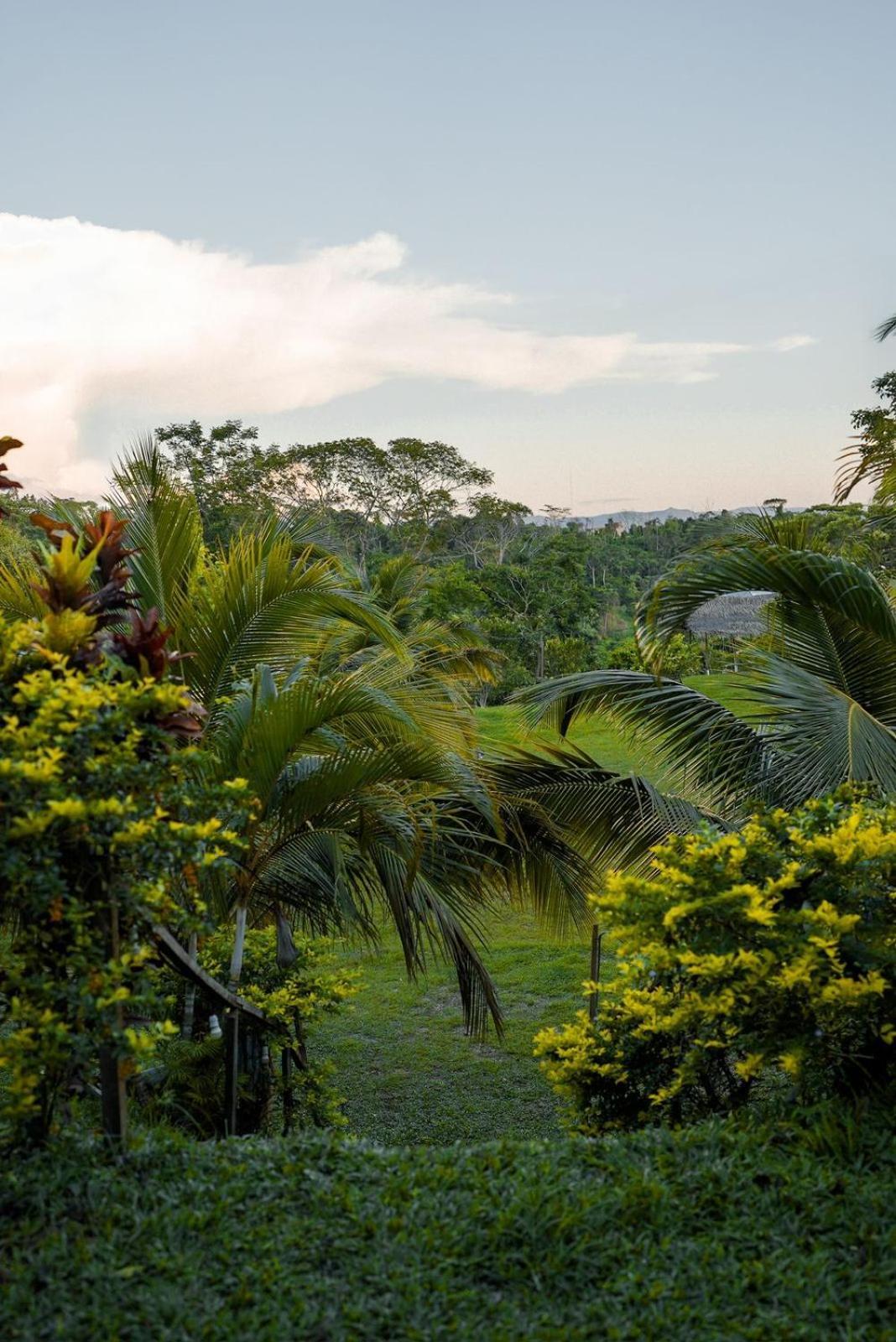 Choclino -bungalows Con Piscina Privada, Mirador Y Tours En La Selva