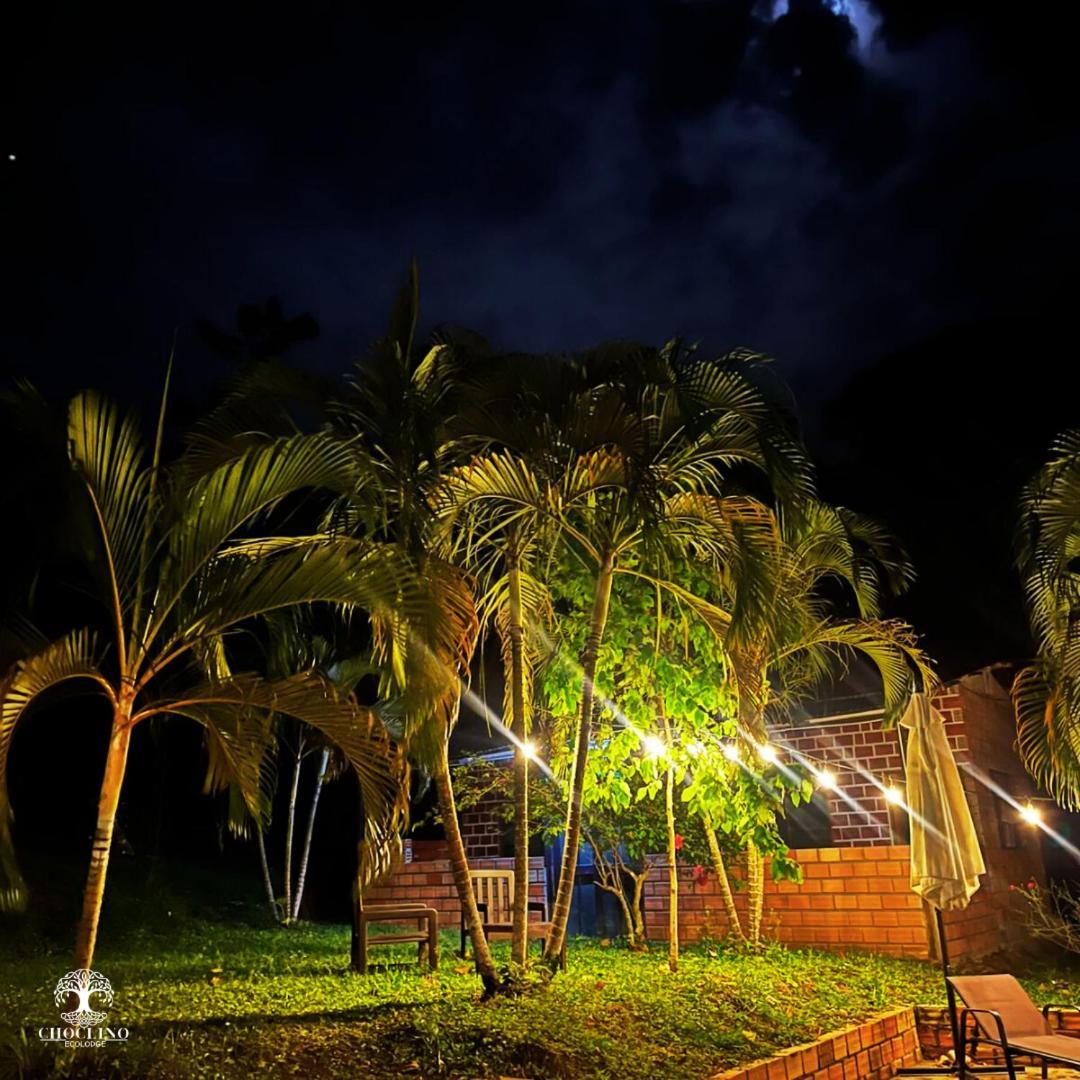 Choclino -bungalows Con Piscina Privada, Mirador Y Tours En La Selva Appartement *